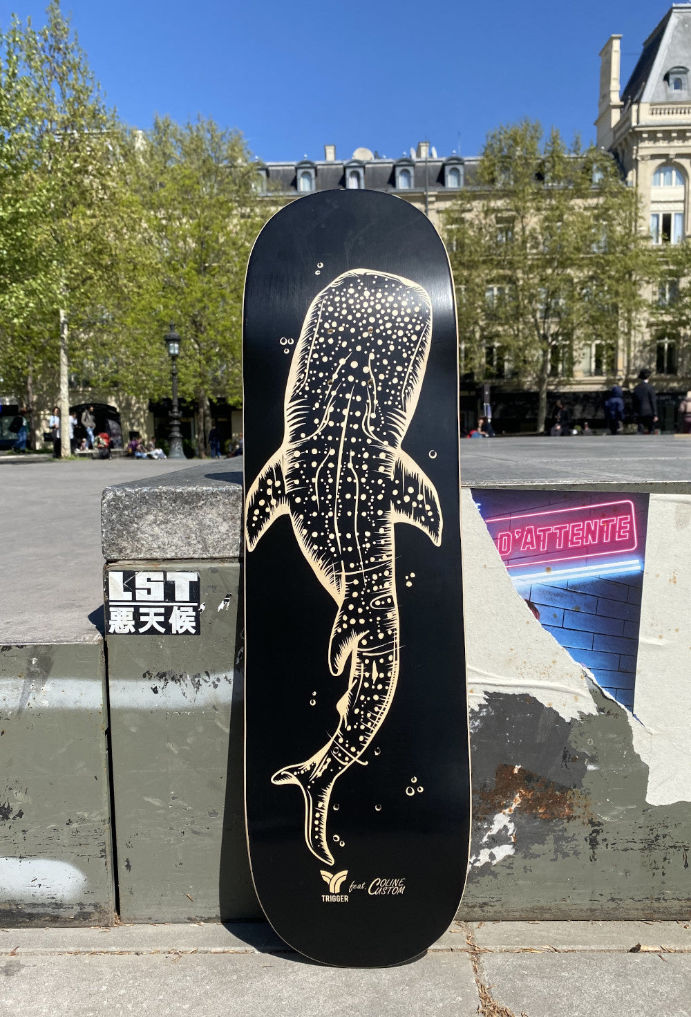 Trigger Whale Shark 8.8″ – planche de skateboard – vue 2