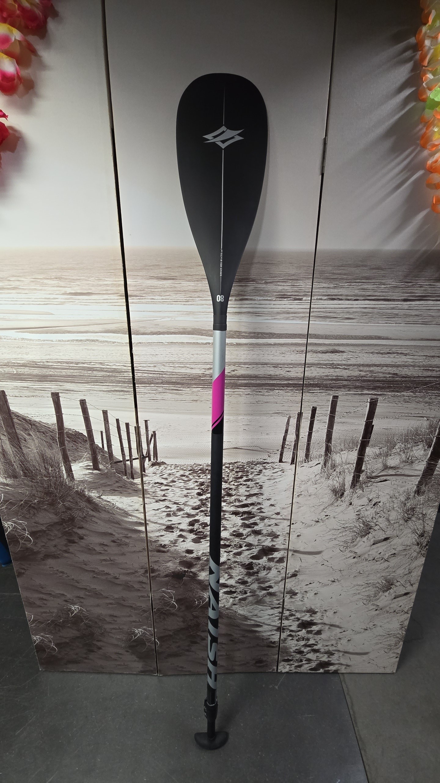 Pagaie 2 parties Naish alana performance 80