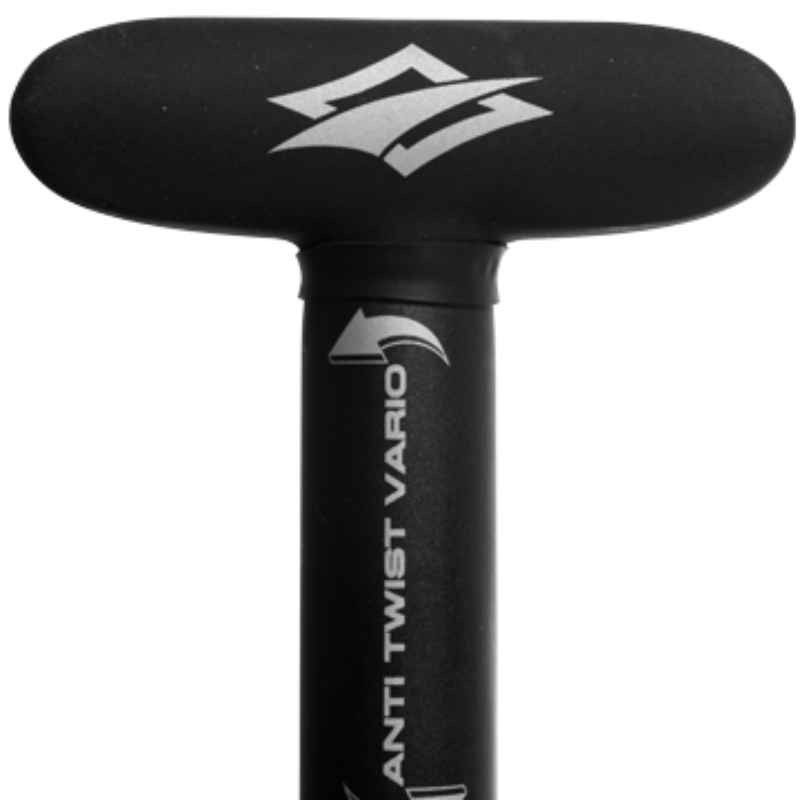 Pagaie 2 parties Naish alana performance 80